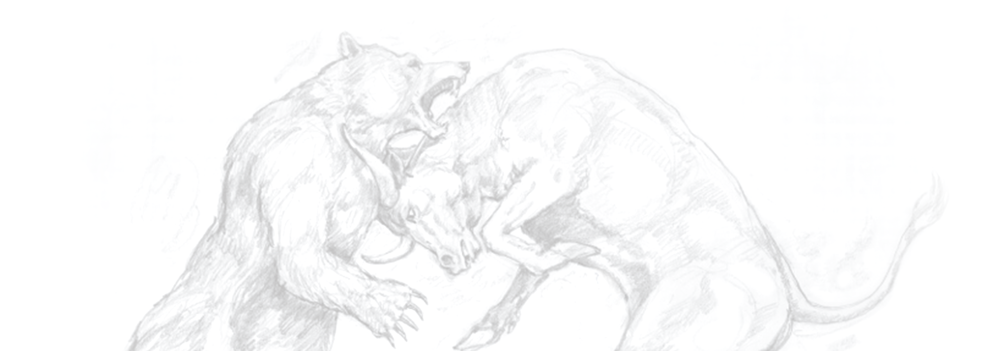 bull and bear